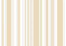 PARATO COD.6579