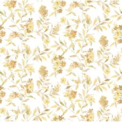 PARATO COD.6616